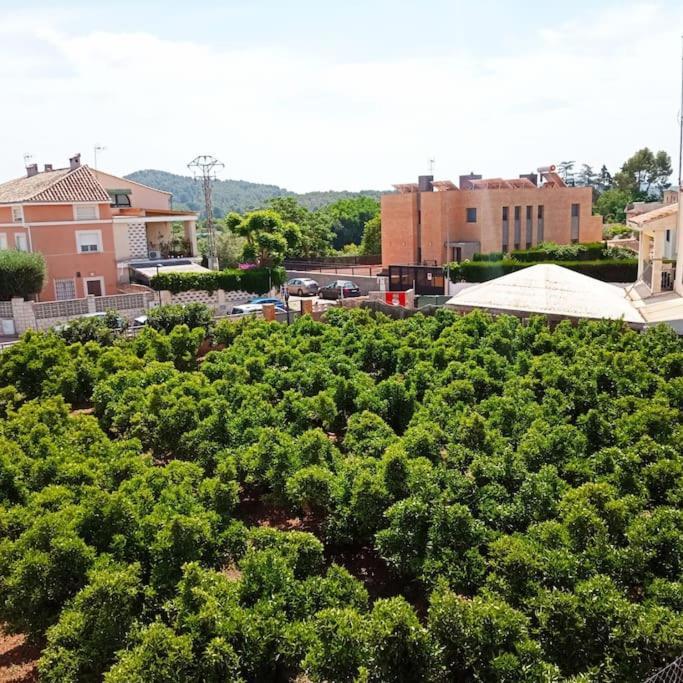 Ferienwohnung Piso Sierra Calderona A 15 Minutos Del Mar Estivella Exterior foto